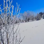 Blizejgorcow Vila