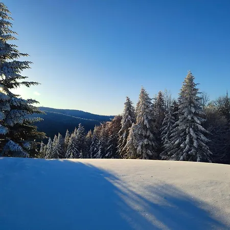 Blizejgorcow * Lubomierz (Lesser Poland)