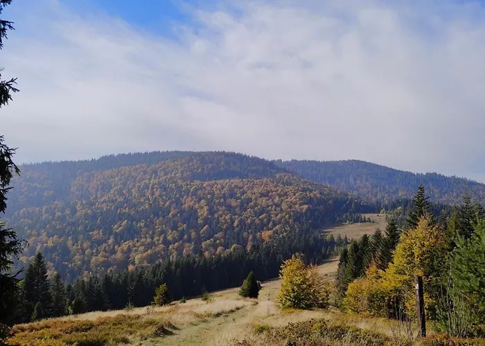 Villa Blizejgorcow Lubomierz (Lesser Poland)
